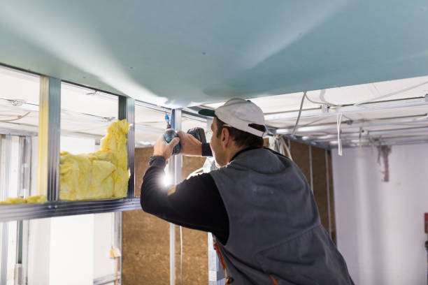 Insulation Contractors for Homes in Ionia, MI