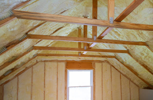 Best Spray Foam Insulation  in Ionia, MI