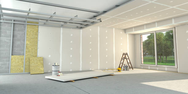 Best Attic Insulation Installation  in Ionia, MI