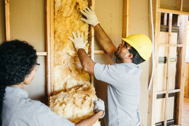 Best Attic Insulation Near Me  in Ionia, MI