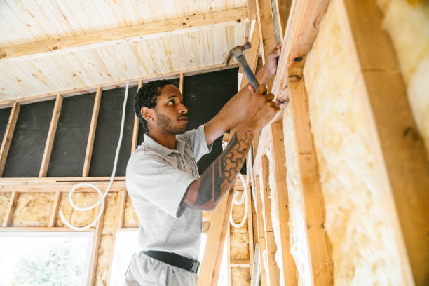 Best Local Insulation Services  in Ionia, MI