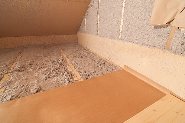 Best Local Insulation Services  in Ionia, MI